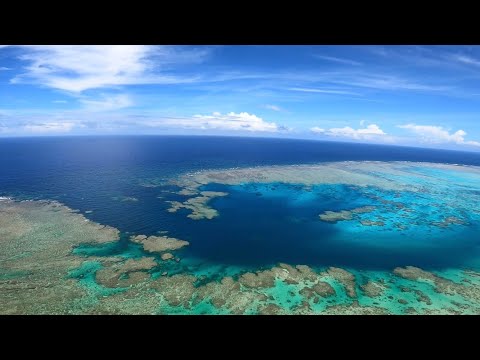 【大学生の夏休み】宝石箱のような海でパラグライダーしてみた!!! (沖縄旅行編) /Student tried paragliding in Okinawa Japan /日本的大学生在冲绳玩了滑翔伞