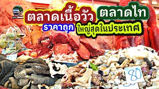 #ตลาดค้าเนื้อวัว #ราคาถูก #ใหญ่ที่สุดในประเทศ #ตลาดเนื้อสัตว์ #ตลาดไท #ลุงน้อยchannel