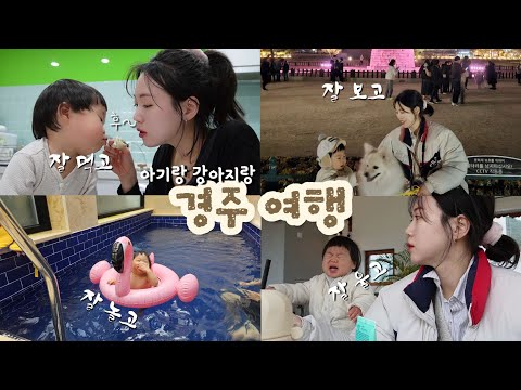 너무너무 재미있었던 아기랑 강아지랑 #경주여행 브이로그👨‍👩‍👦🐶 #경주애견동반펜션 하토르🏝 #경주애견동반카페 베이글베이글러🥯 #경주애견동반식당 진수성찬🍱#바니니 #바니니부스팅오일