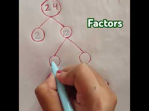 Prime factors of 24 #trending #viralvideo #ytshorts_ #maths #shorts #primefactorization #most