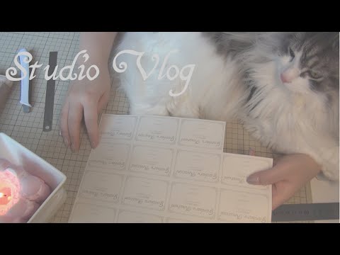 Studio Vlog/のんびりシールカットするよ