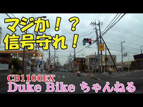 【ドラレコ】マジか！？とんでもない姿で信号無視するバイカー！【モトブログ】