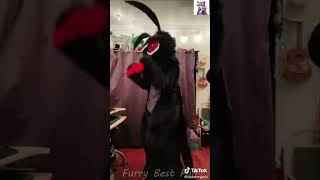 BEST Furry TikToks compilation 0670 #shorts #furrytiktok #furry  #funnyvideo  #youtube   #furries