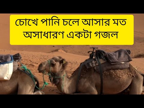 এক মিনিটে ভাইরাল হওয়া সেই সবচেয়ে সেরা গজল #islamicgojol