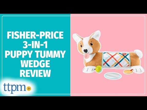 Fisher-Price Tummy Time 3-In-1 Puppy