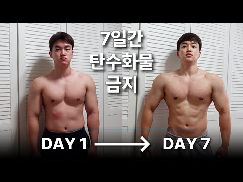 배고파 죽을뻔했던 7일간의 무탄수화물 다이어트 후기