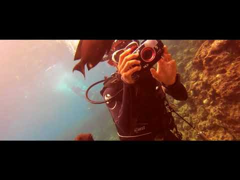 Okinawa 沖繩藍洞 diving