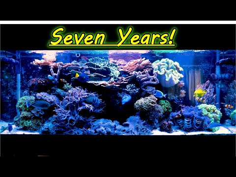 Seven Years of Mile High Reefers