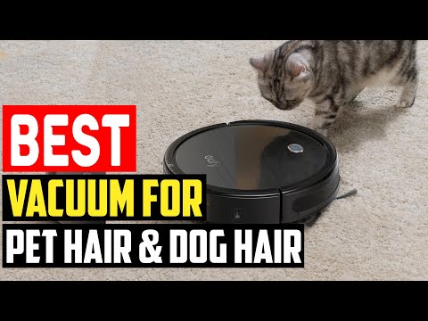 ✅ Top 5 Best Vacuum for Pet Hair  Dog Hair in 2023