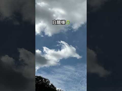 白龍雲でした🐲#shortvideo #龍神雲 #ショート #龍神様