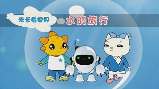 【水的旅行】水是怎样产生的 宝宝的物理小世界｜米卡看世界 0-6岁