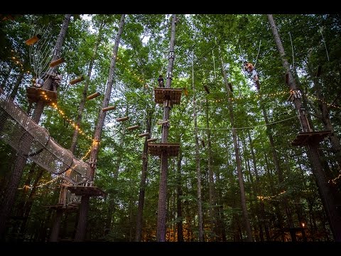 The Adventure Park at Virginia Aquarium