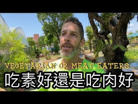 Vegetarian vs Carnivore 素食者與肉食者哪種對身體好？