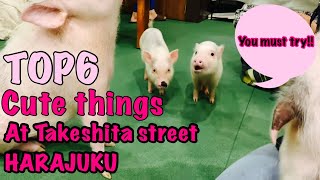 TOP 6 CUTE Things at TAKESHITA Street, HARAJUKU, TOKYO