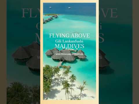 Gili Lankanfushi Maldives Amazing Drone Vistas ! #maldives #drone