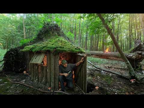 A cozy log cabin for survival  under an upturned root. Bushcraft, Dugout, Catch and Cook