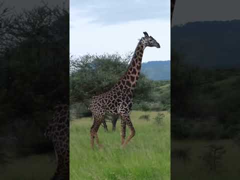 Tsavo National Park is Heaven on Earth