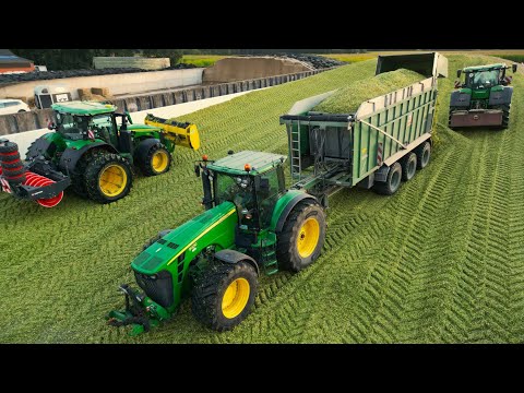 Maisernte 2024 mit JohnDeere 8430 & 7810! Häckseln mit Krone BIGX 780 im Emsland 1/2