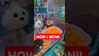 How I Won The Ping Pong Ball Claw Machine!