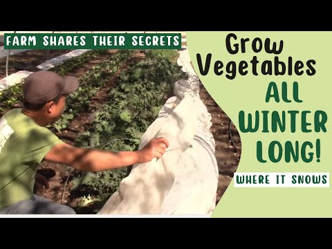 Grow Vegetables All Winter: Secrets from a Midwest Farm You Can Use in Your Garden