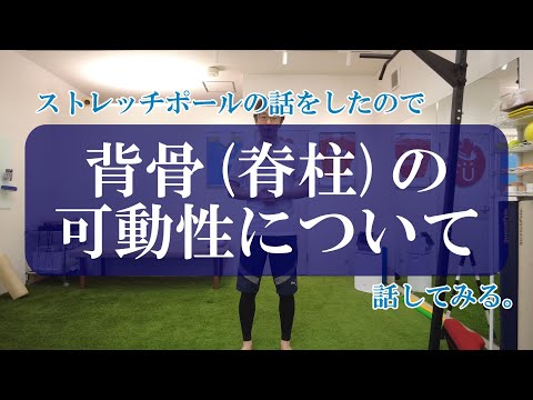 【トピックストーク】ストレッチポールの話をしたので、背骨脊柱の可動性について話してみる。