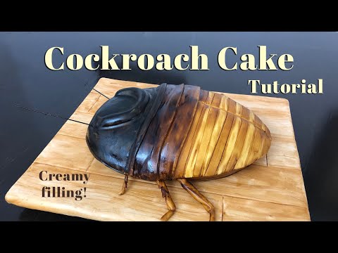 How to Make A COCKROACH CAKE!