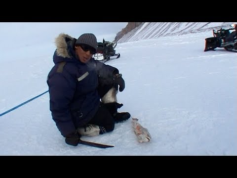 Lunch in route based on frozen Arctic Char - Nanoq 2007 expedition