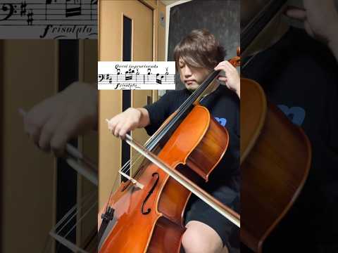 Dvorak Cello Concerto 1mov.