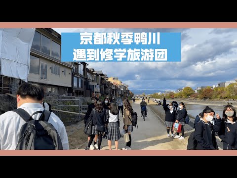 遇到很多日本高中生。大家嘻嘻哈哈，怀念我的高中时代。秋天，美丽的京都鸭川散步，跟大家聊聊日本生活