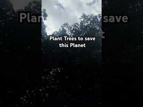 Plant Trees II #pk #beautiful #weather #ksa #environment #green #cities #values #youtube #viralvideo