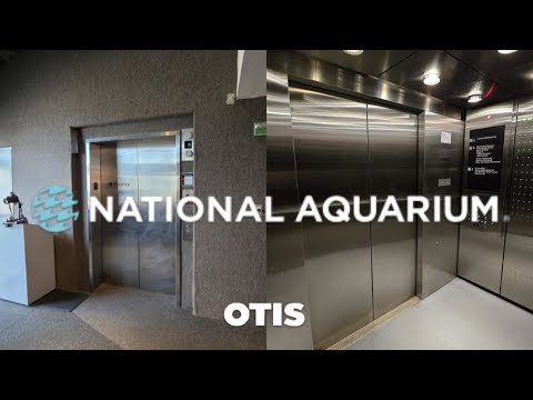 Wide custom Otis Elevonic 411 traction elevator at the National Aquarium in Baltimore MD