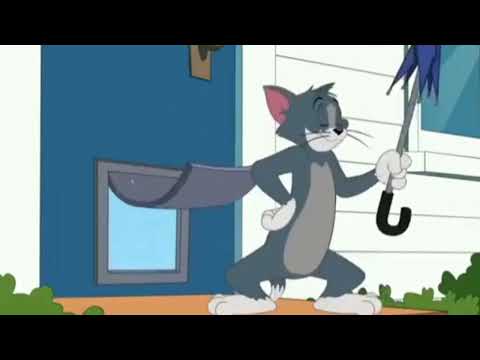 New Episode Tom and jerry 2023 / hindi dubbed/ tom and jerry cartoon video / tom and jerry