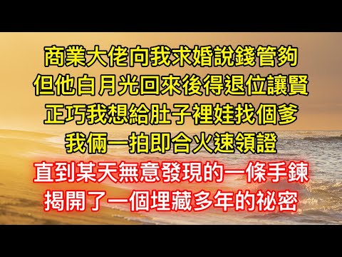 商業大佬向我求婚說錢管夠，但他白月光回來後得退位讓賢，正巧我想給肚子裡娃找個爹，我倆一拍即合火速領證，直到某天無意發現的一條手鍊，揭開了一個埋藏多年的祕密