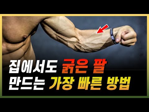 전완근 팔뚝이 가장 빠르고 효과적으로 굵어지는 악력 운동! (feat. 리스트롤러, 추감기)