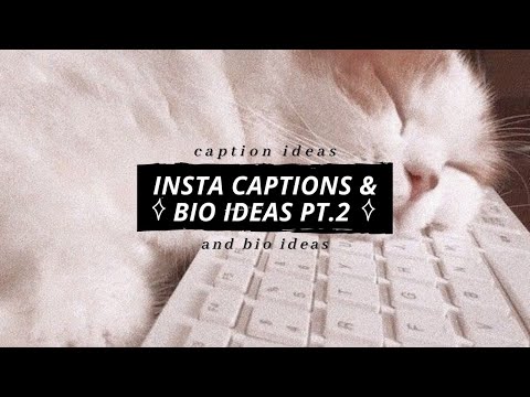 Ultimate Supply Of Instagram Bio And Captions // Pt.2