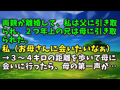 【スカッとひろゆき】両親が離婚して、私は父に引き取られ、２つ年上の兄は母に引き取られた。私（お母さんに会いたいなぁ）→３～４キロの距離を歩いて母に会いに行ったら、母の第一声が・・・