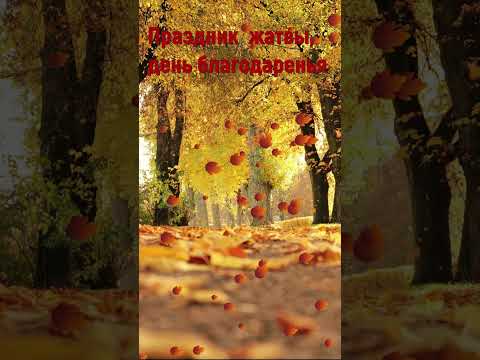 Праздник жатвы, день благодаренья #деньблагодарения #праздникжатвы #христианскиепесни #shorts