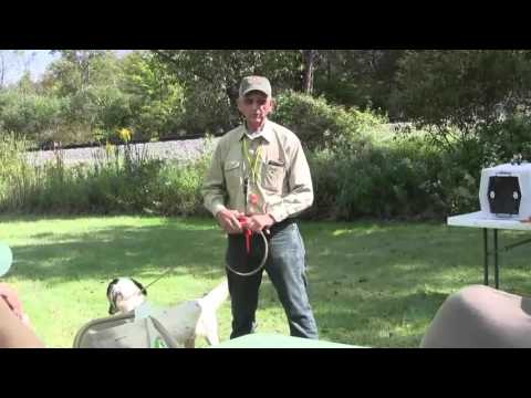 Commands and Cues for Dog Training  with Ed Rader (Pro Dog Trainer and Innotek Founder)