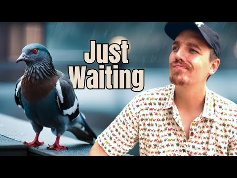 Daily Vlog: Life Update - I Feel like a Pigeon in the Rain | India Vlog 65