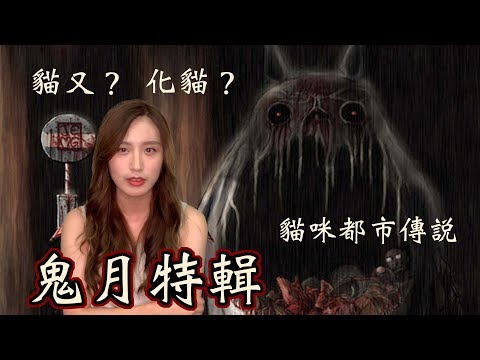 鬼月都市傳說特輯！龍貓是死神？老貓會吃人？控制屍體？｜貓與香菜