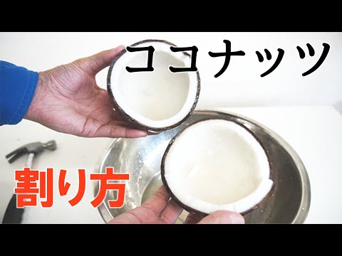 【ハンマーを使った】ココナッツの割り方