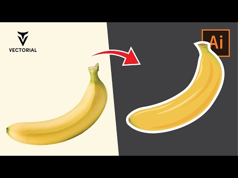 How to Draw banana in Adobe Illustrator