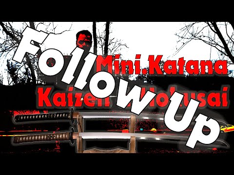 Follow Up $900 Mini.Katana Kaizen and $470 Shadow Dancer 1095 Katana - Are they the same?