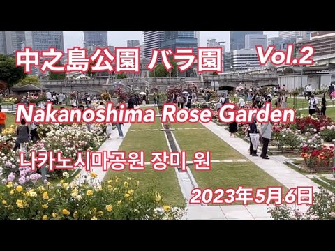 【中之島公園 バラ園 vol.2】2023年5月6日 Japan Nakanoshima rose garden   /     나카노시마공원 장미 원