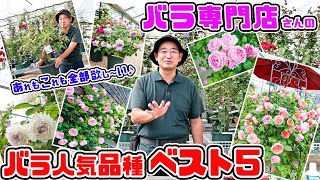 バラ専門店🌹の【バラ人気品種ベスト5】あれもこれも全部欲し～い♪ 高木大輔さん