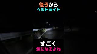 バイクで夜の峠は気を遣う #shorts