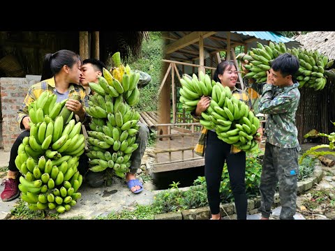 Want to Sell Dried Bananas at the Market? Watch This Now