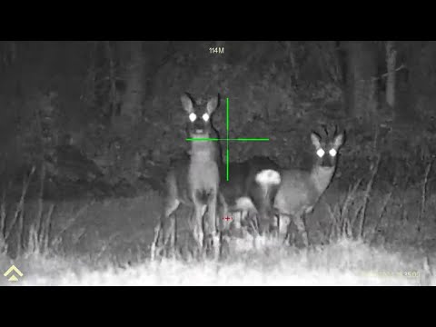 Arken Zulus Night Vision, Deer Rabbits and Rats all seen on a night out with the Rimfire