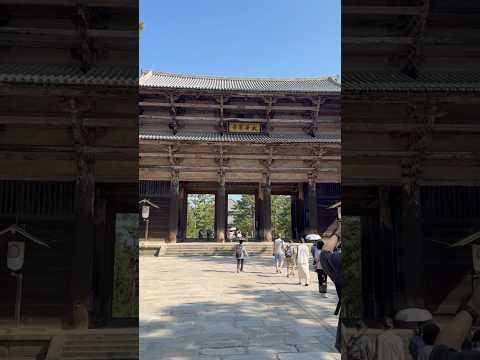 「奈良公園」超可愛小鹿🦌們♡還有《東大寺、興福寺、春日大社》等神社寺廟，全天免費開放#大阪 #日本 #奈良公園 #奈良 #奈良公園の鹿 #關西 #ならし #關西 #osaka