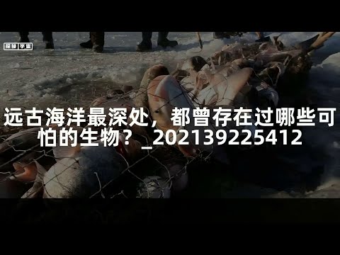 远古海洋最深处，都曾存在过哪些可怕的生物？_202139225412